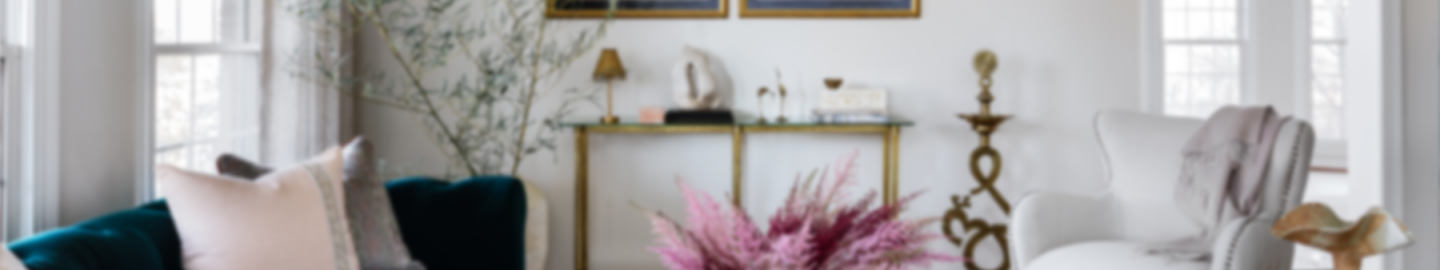 Deeply Personalized Interior Design • Potomac MD • Northern VA